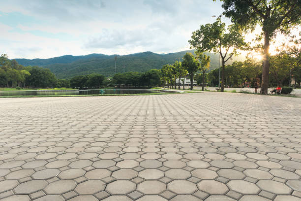 Best Brick Driveway Pavers  in Alderwood Manor, WA